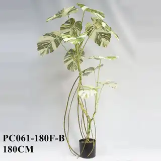 Artificial Monstera Deliciosa Variegata 180CM